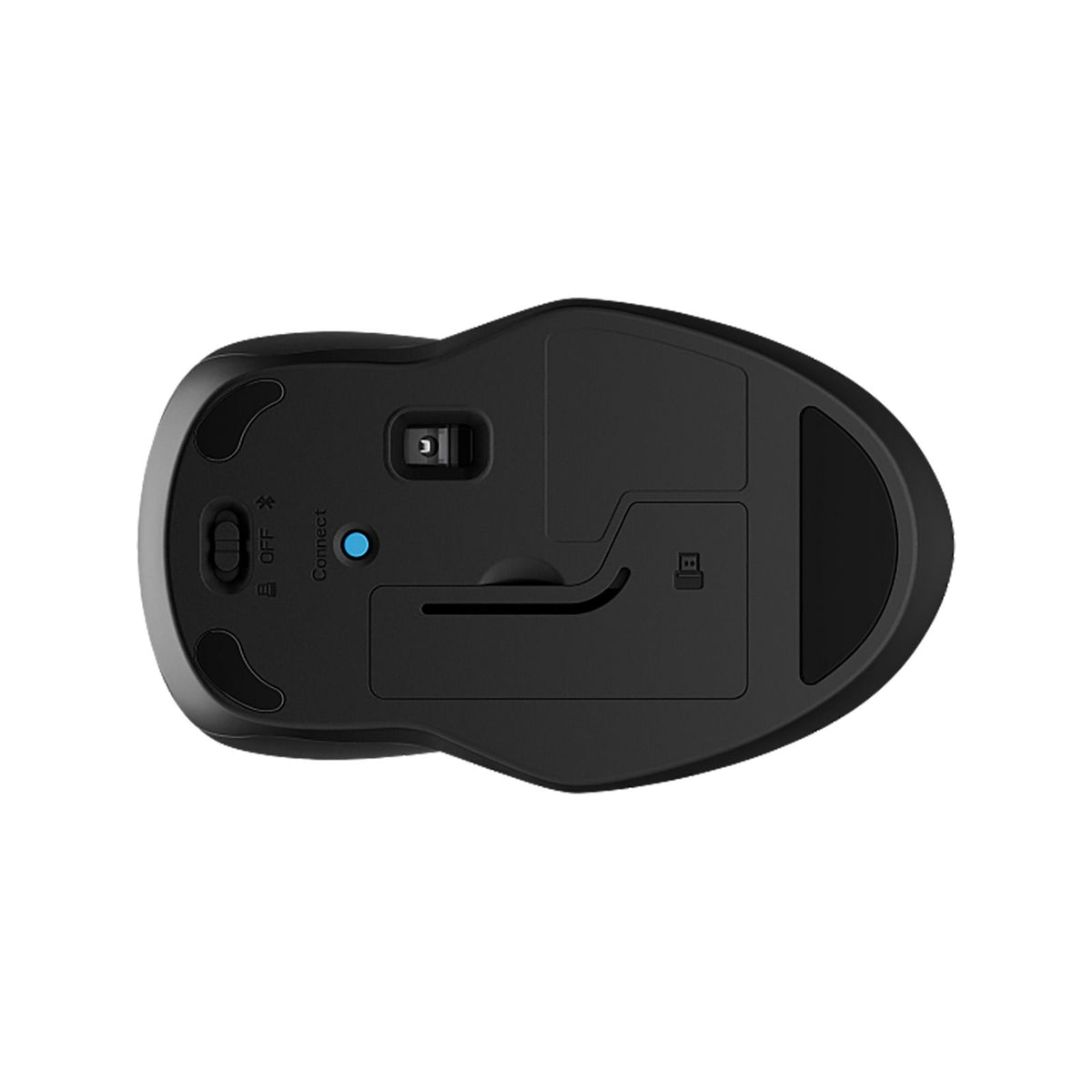 HP 255 Dual Wireless Mouse
