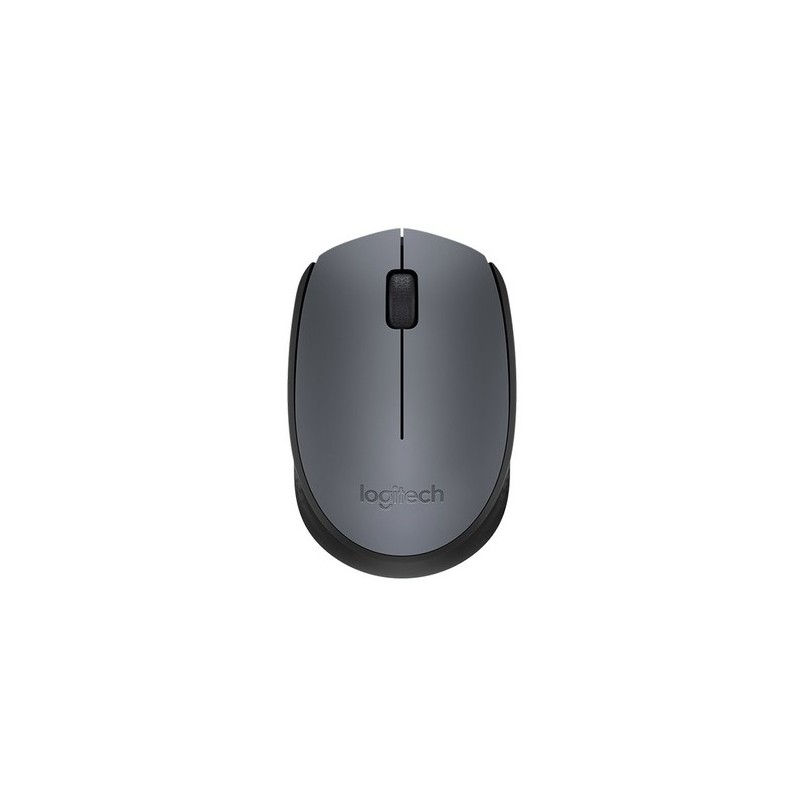 Logitech M170 Cordless Notebook Mouse - Black and Silver